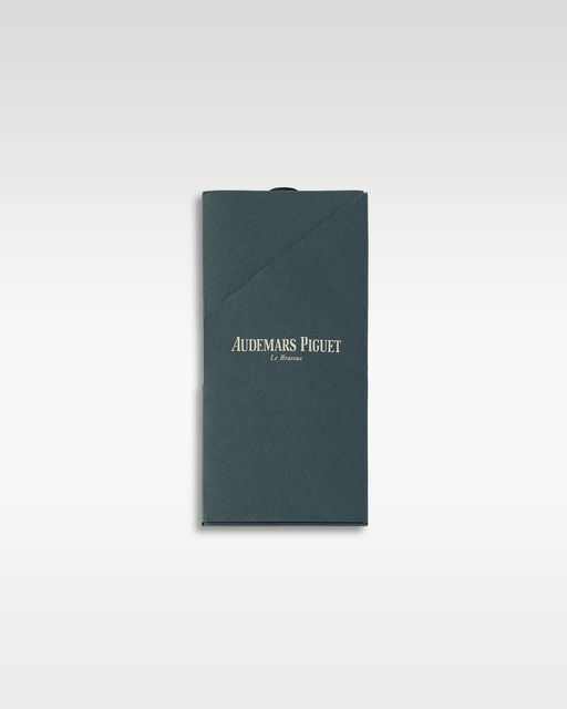 Audemars Piguet Royal Oak 15500ST.OO.1220ST.03 Image 5